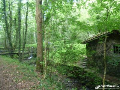 Parque Natural Pagoeta_Valle Leitzaran;parque nacional peneda geres rutas mirador del sueve ruinas c